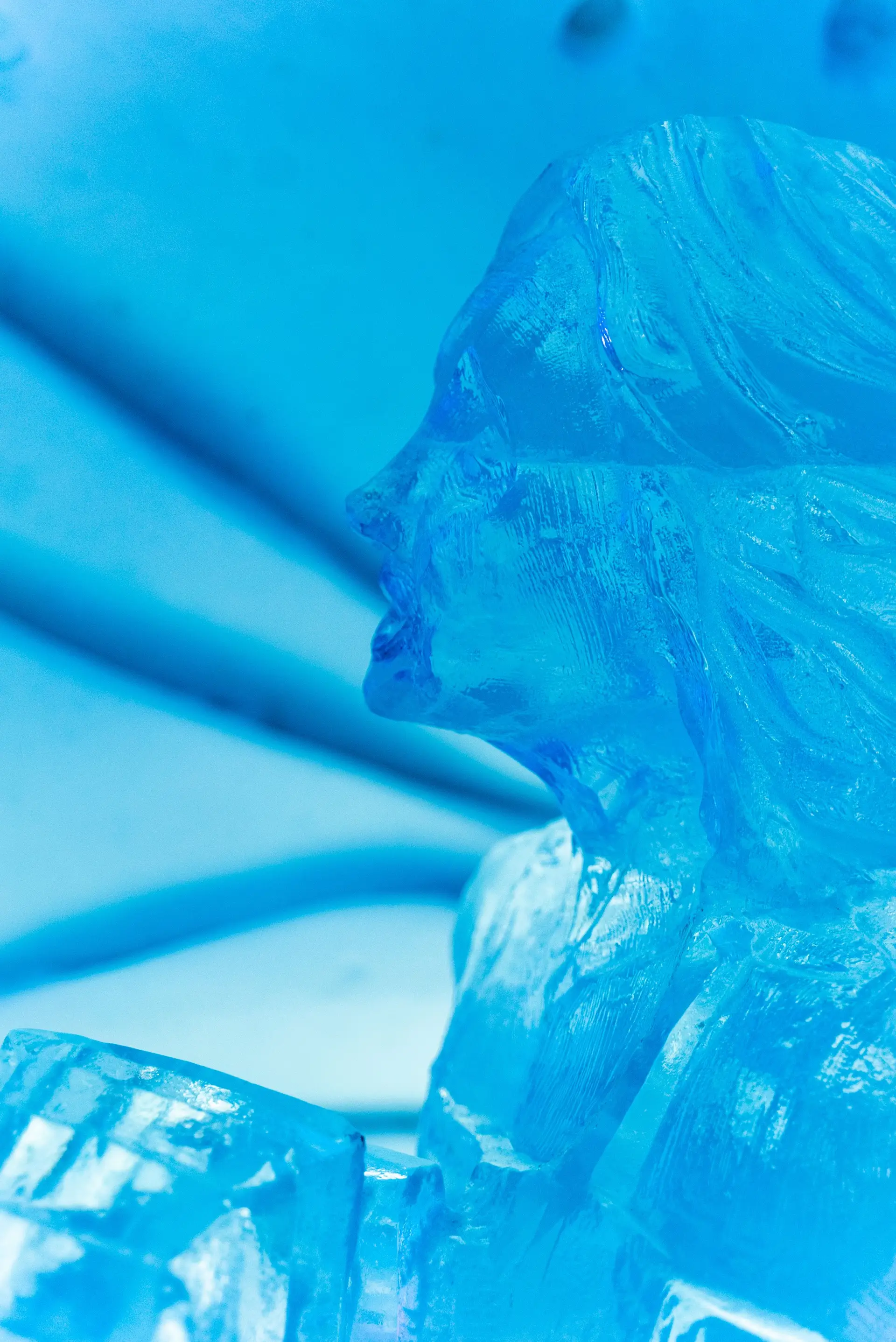 Glass Artist