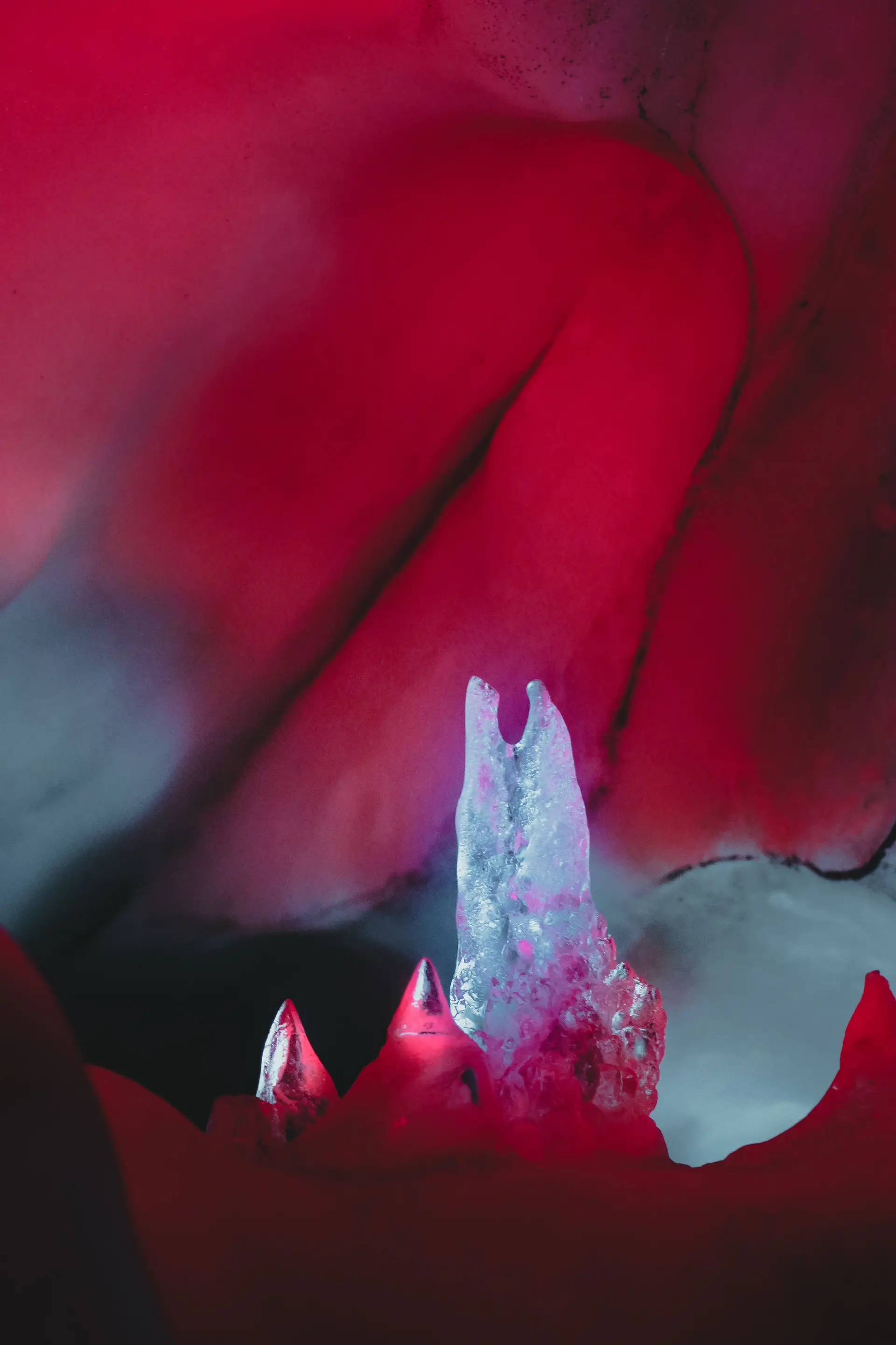 Crystal art illuminated by soft natural light